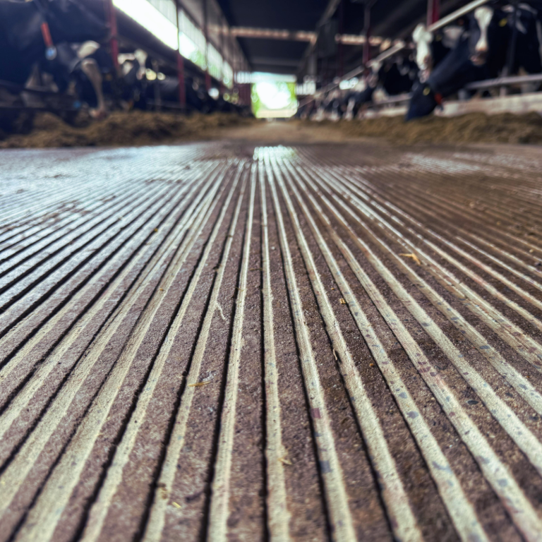 Betonfläche aufgeraut Detailiertes Bild einer Betonfläche, die mit einer Diamantscheiben besetzten Maschine aufgeraut wurde.